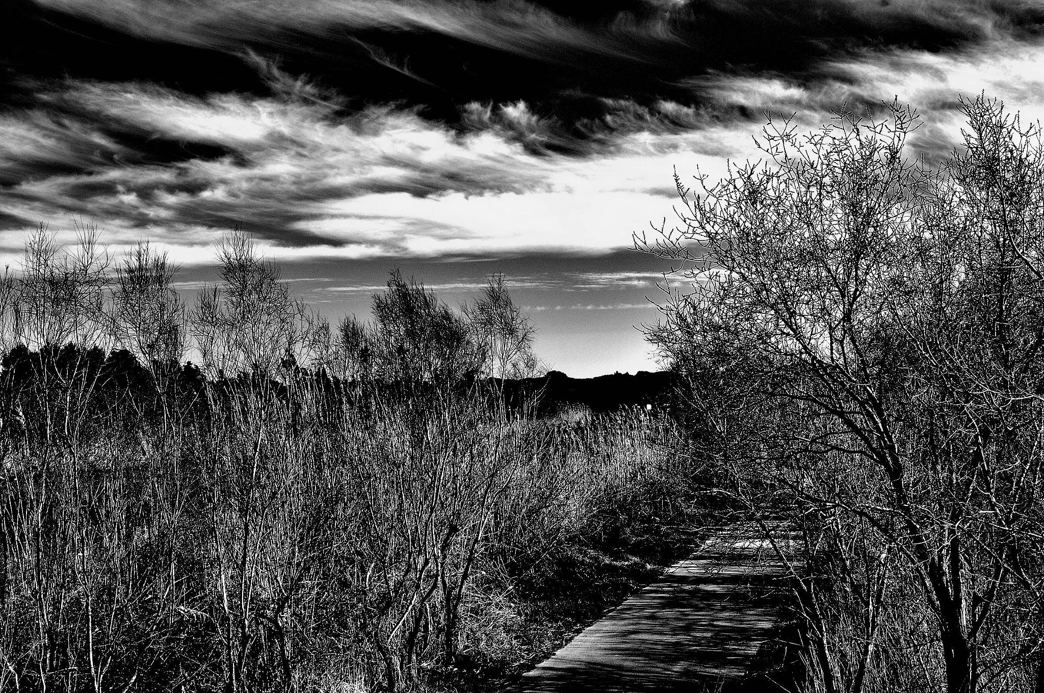 Nikon D300S sample photo. El paso de la tarde photography
