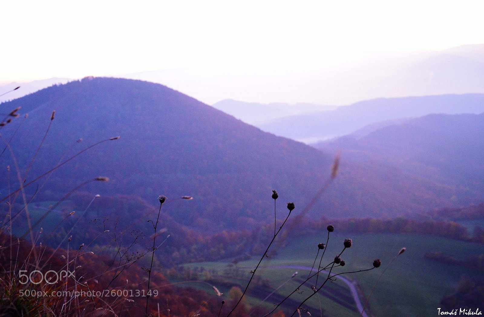Nikon D5100 sample photo. Morning photography