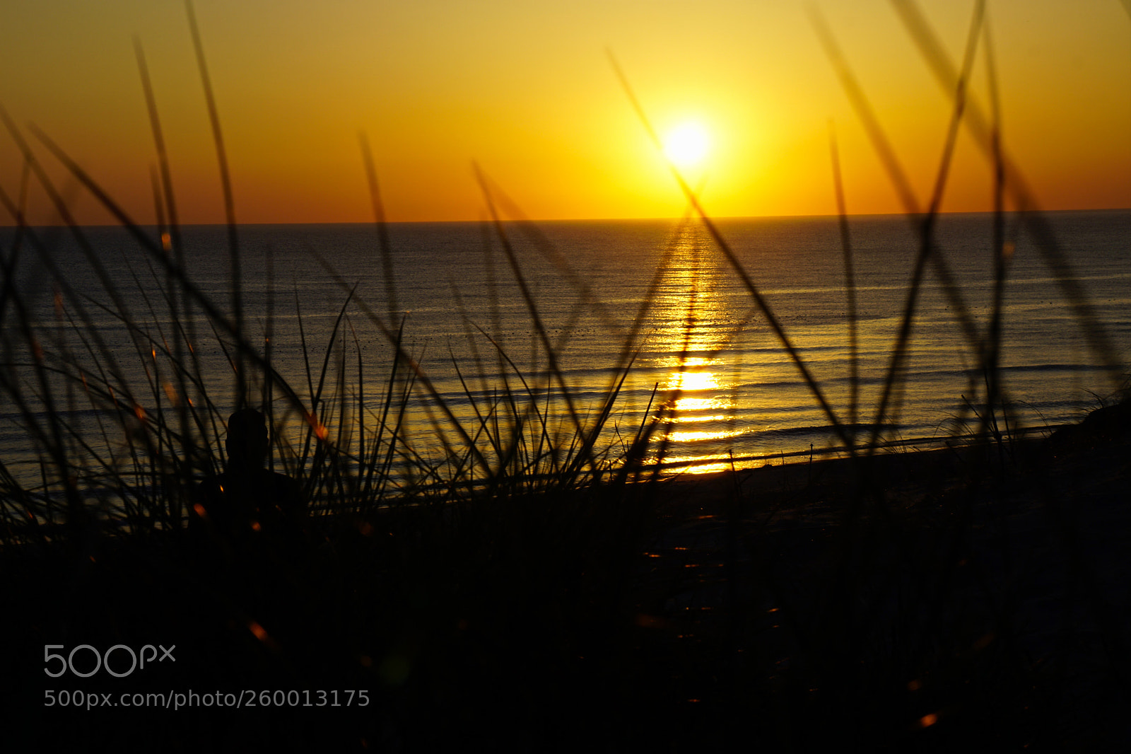 Sony a6000 sample photo. Sunset in jutland photography