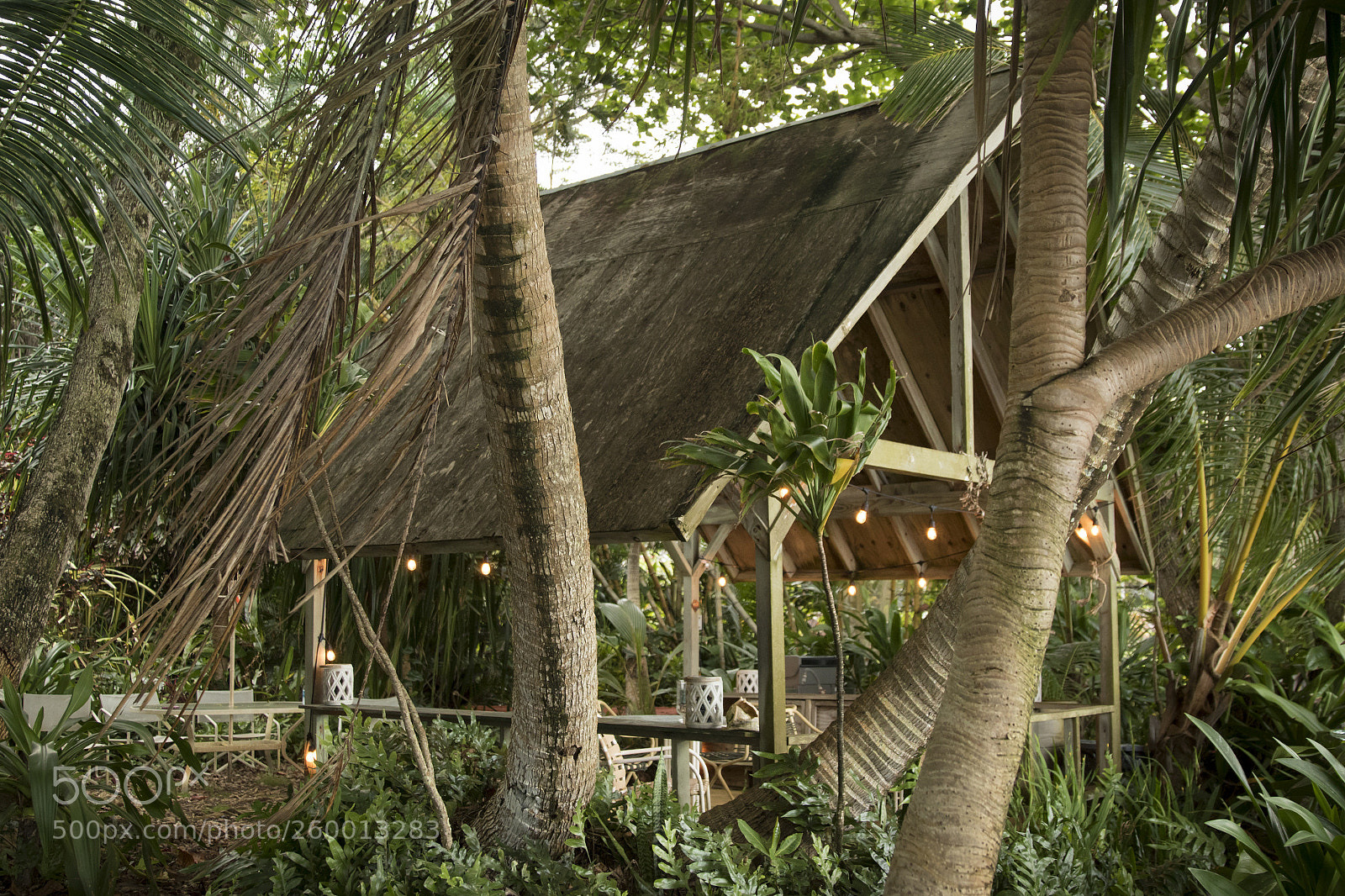 Canon EOS 7D Mark II sample photo. Jungle cabana oasis photography