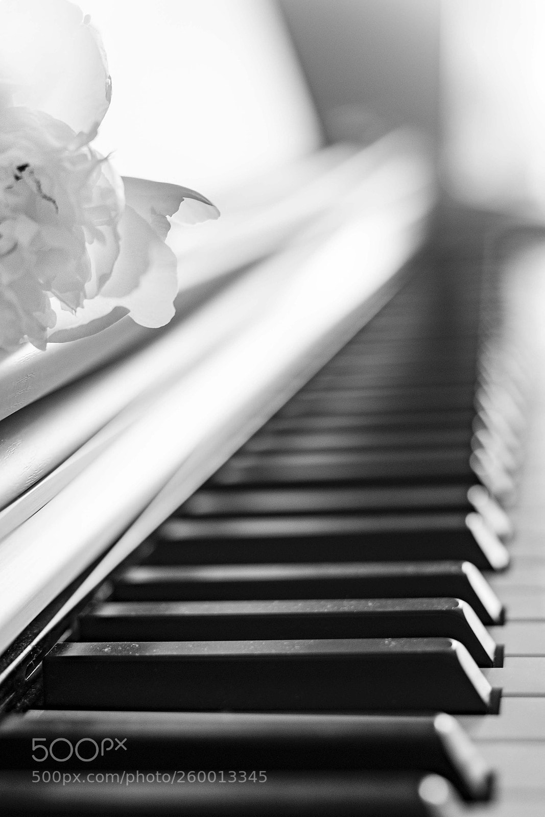 Nikon D750 sample photo. On the piano photography