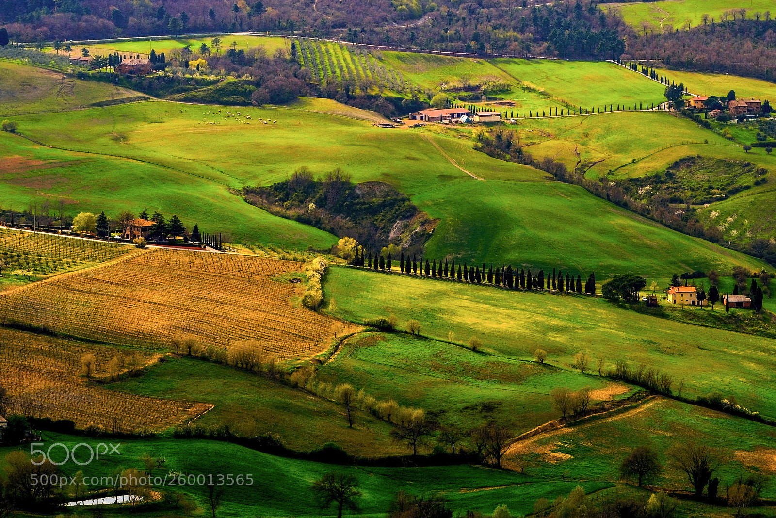 Nikon D7000 sample photo. Valdorcia photography