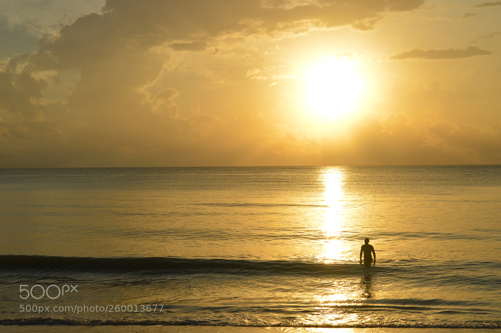 Nikon D3200 sample photo. Liquid gold photography