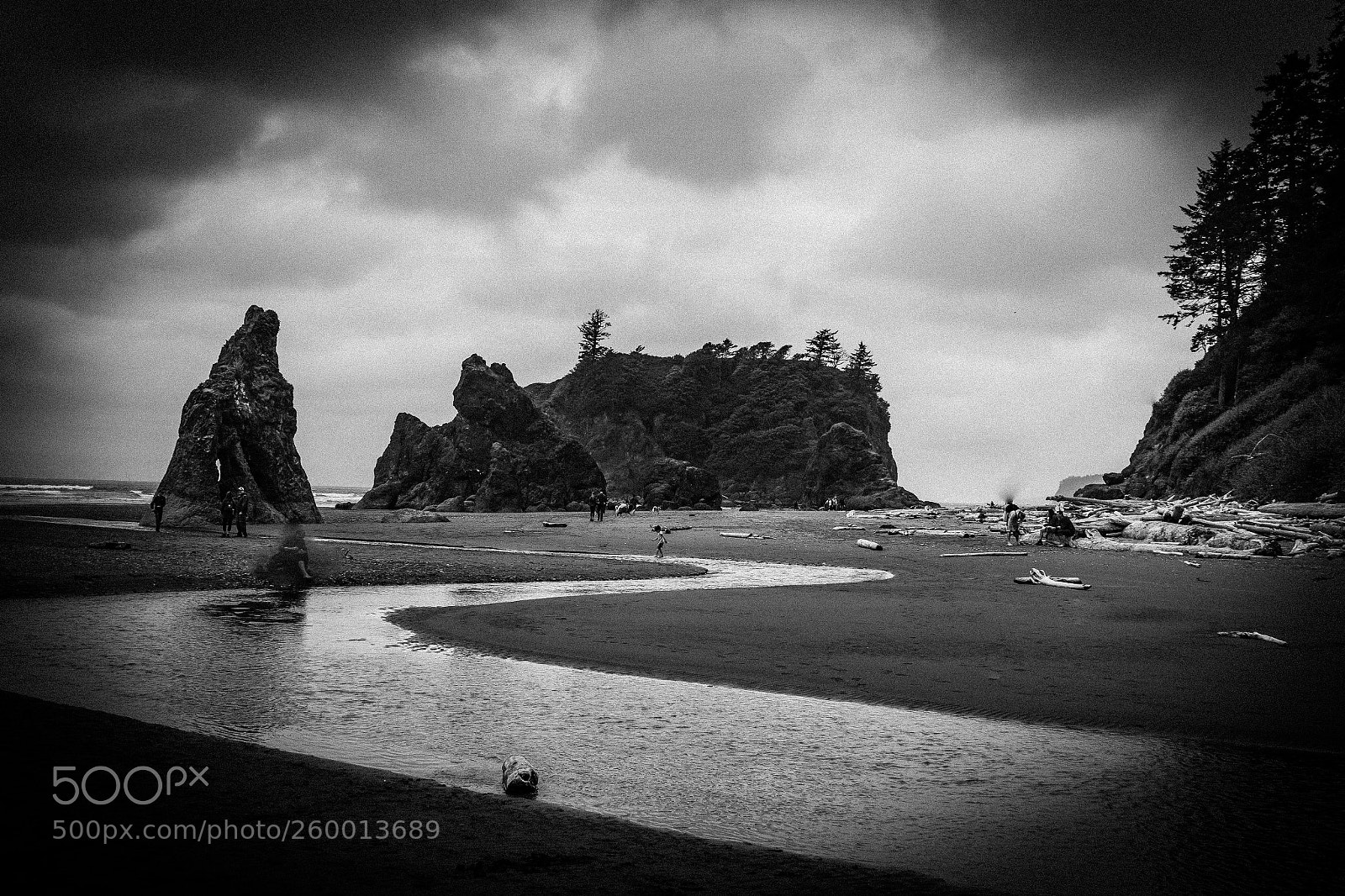 Canon EOS 7D sample photo. Ruby beach, olympic np photography