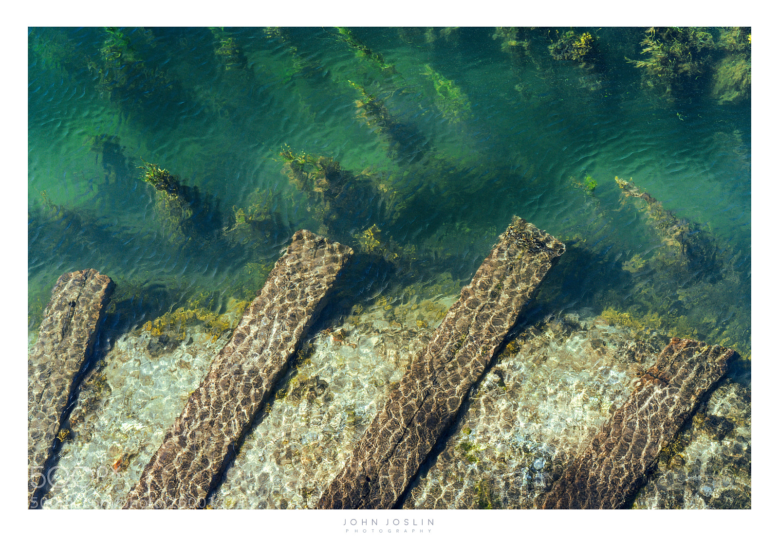 Sony a7 II sample photo. Seaweed and sleepers photography