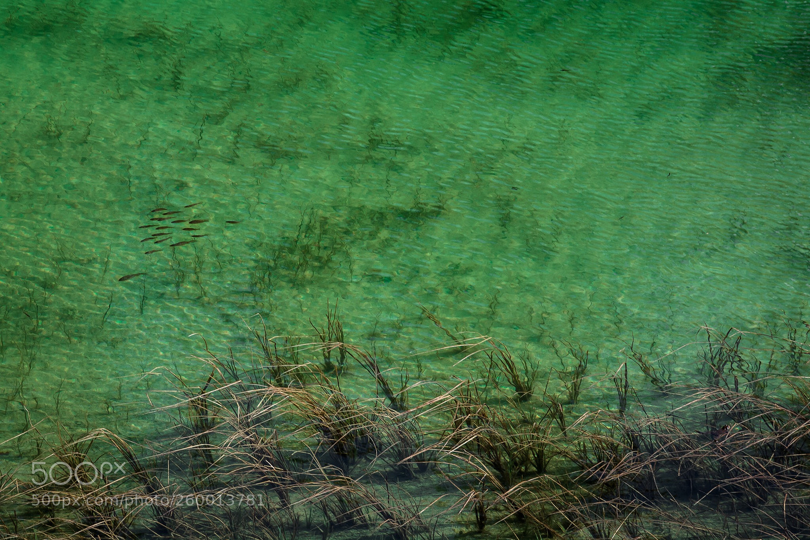Nikon D7100 sample photo. Zminje jezero  photography