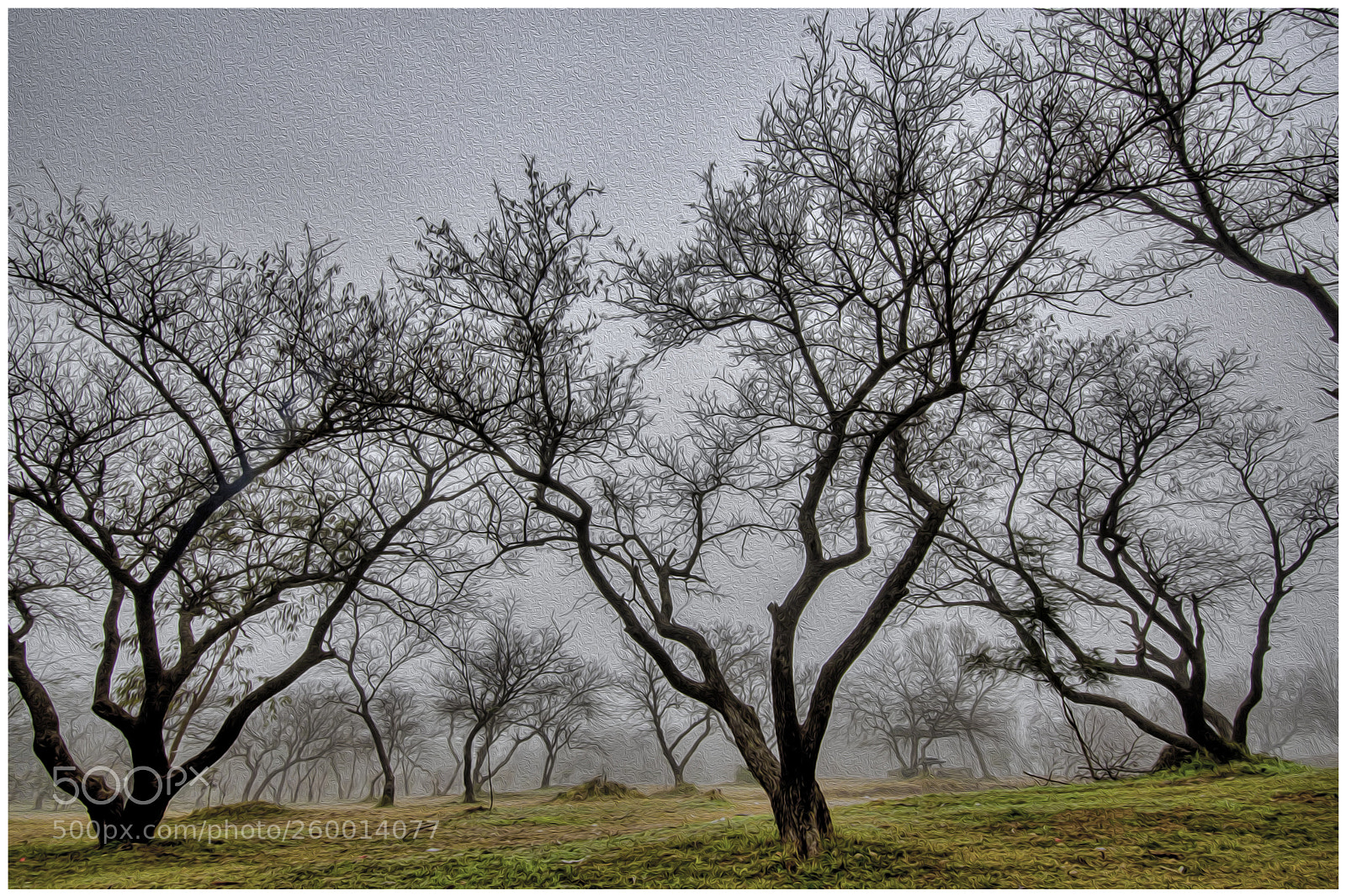 Nikon D7200 sample photo. Enchanted photography