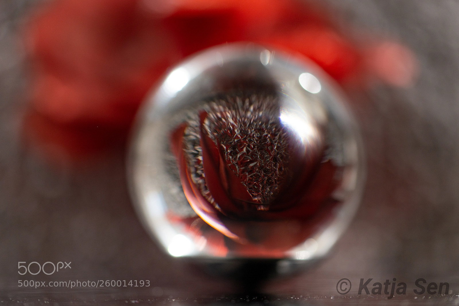 Canon EOS 6D sample photo. What goes around comes photography