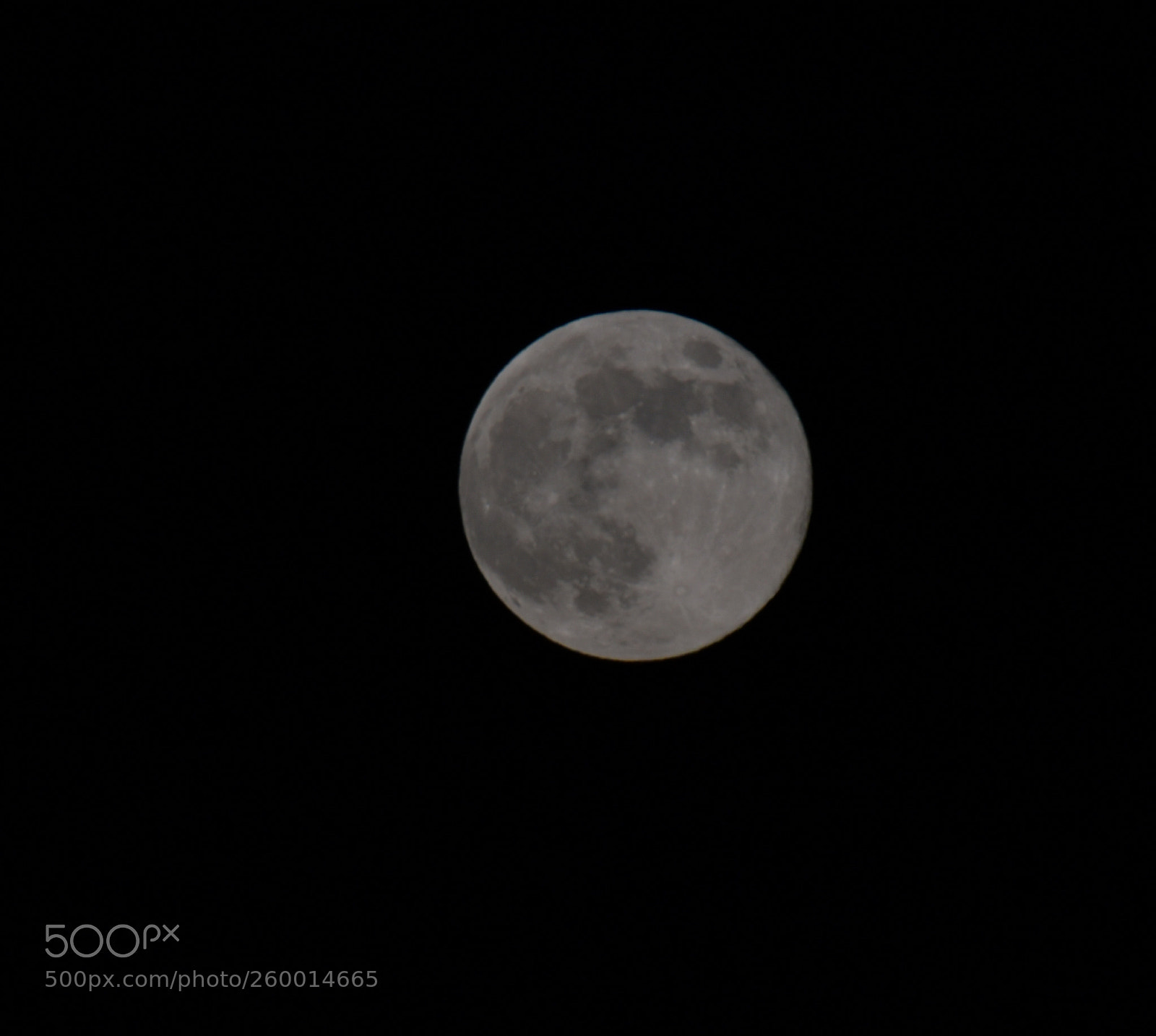 Nikon D500 sample photo. Untitled photography