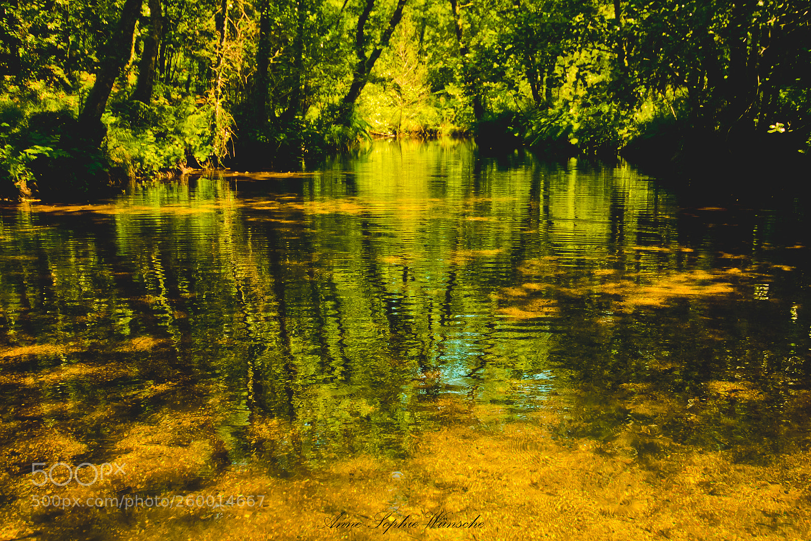 Canon EOS 700D (EOS Rebel T5i / EOS Kiss X7i) sample photo. O lago de ouro photography