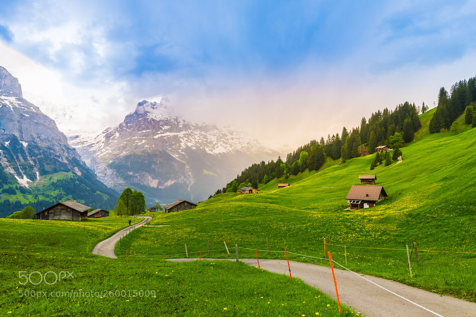 Nikon D850 sample photo. Beautiful landscape of grindelwald photography