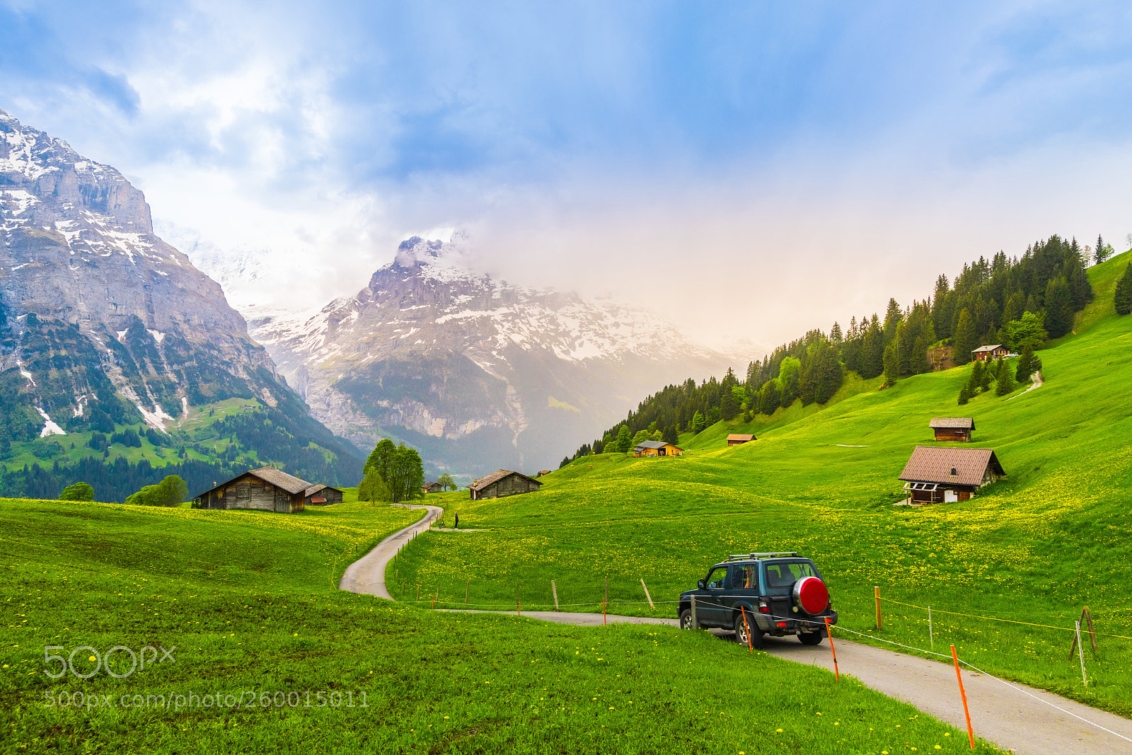 Nikon D850 sample photo. Beautiful landscape of grindelwald photography