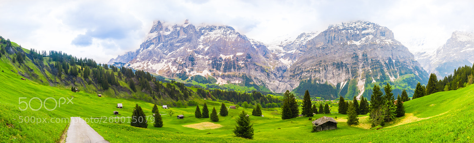 Nikon D850 sample photo. Beautiful landscape of grindelwald photography