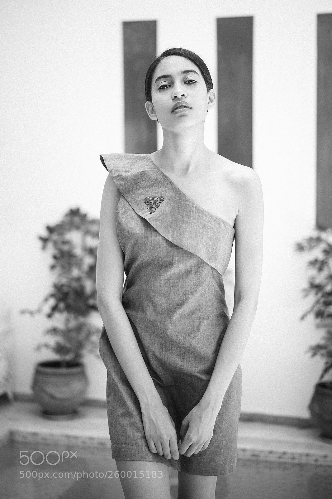 Sony a7 II sample photo. Zwin zwin photography