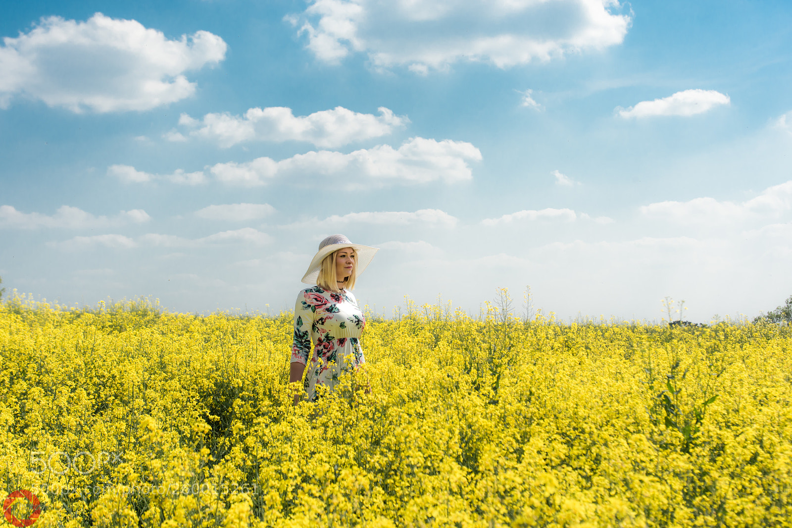 Nikon D7200 sample photo. Rapeseed field and beautiful photography
