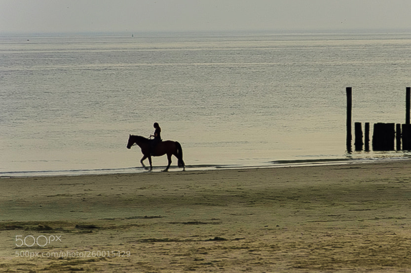 Nikon D5300 sample photo. Horsewoman photography