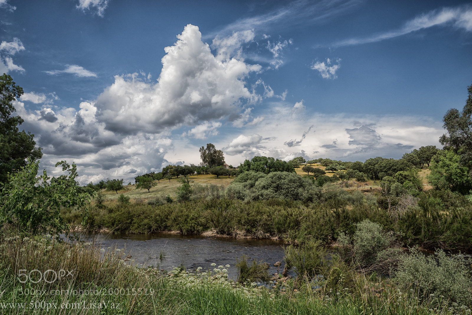 Sony a7R sample photo. Bucolic photography