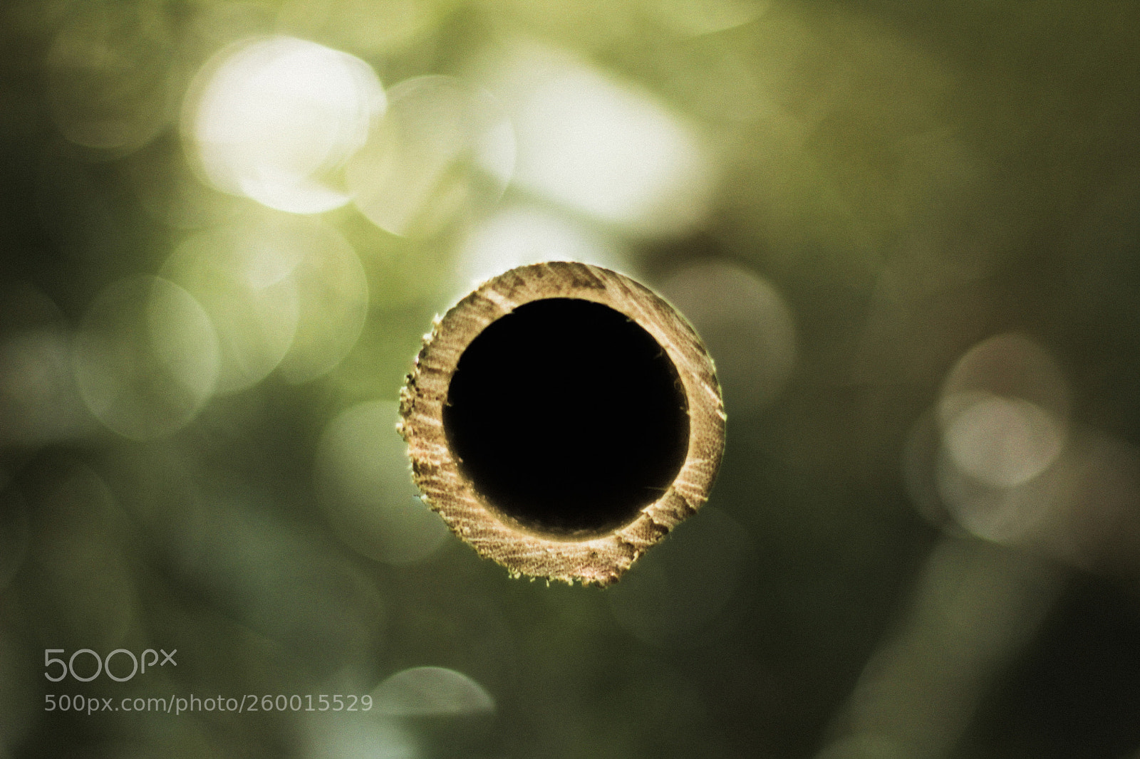 Canon EOS 60D sample photo. Circle photography