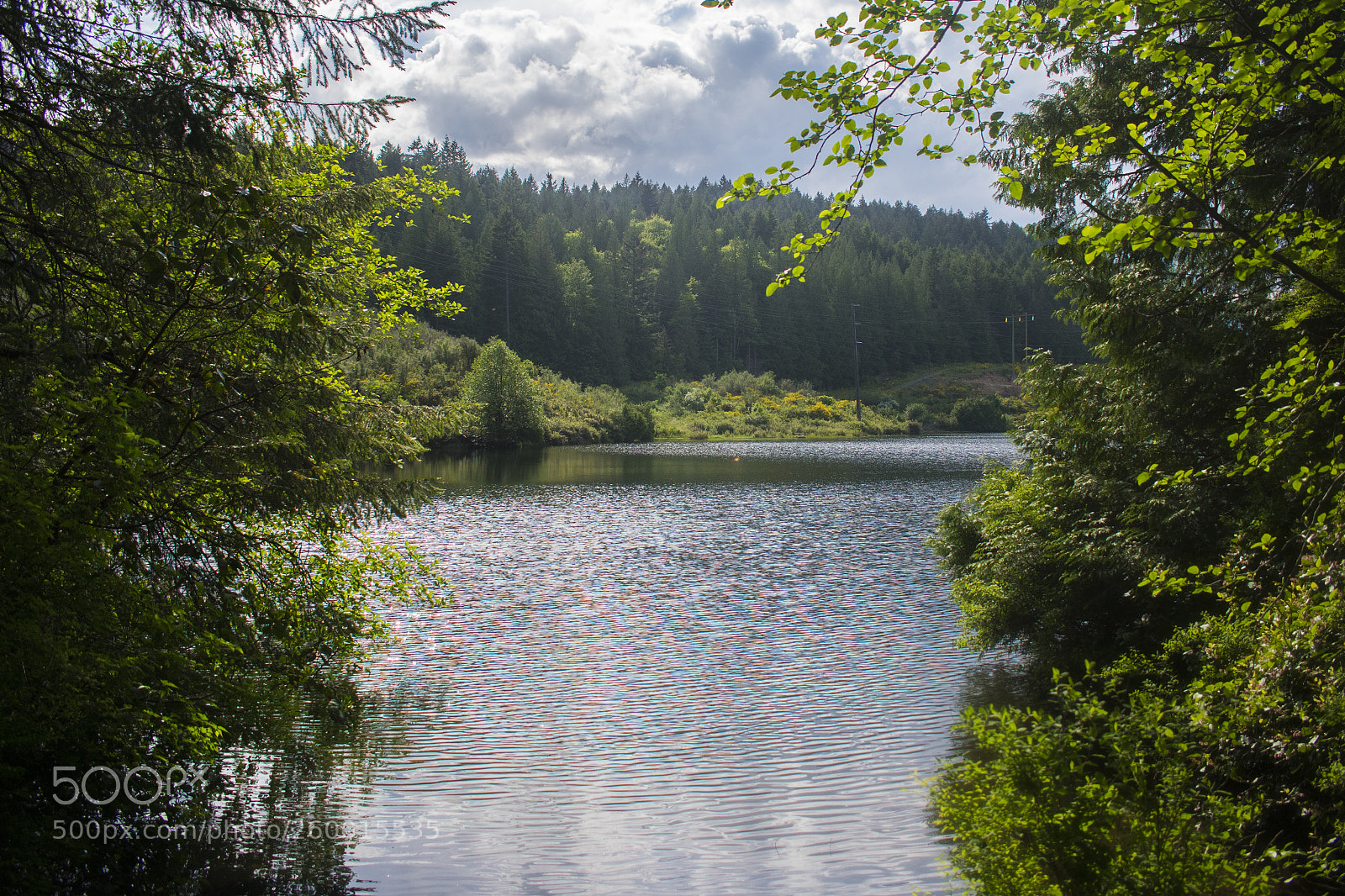 Nikon D3400 sample photo. Morell lake photography