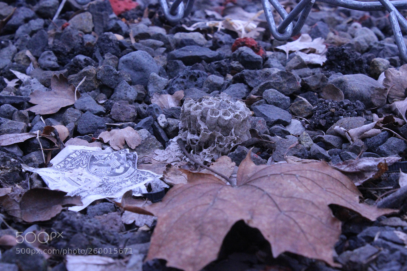 Canon EOS 1200D (EOS Rebel T5 / EOS Kiss X70 / EOS Hi) sample photo. Nature photography