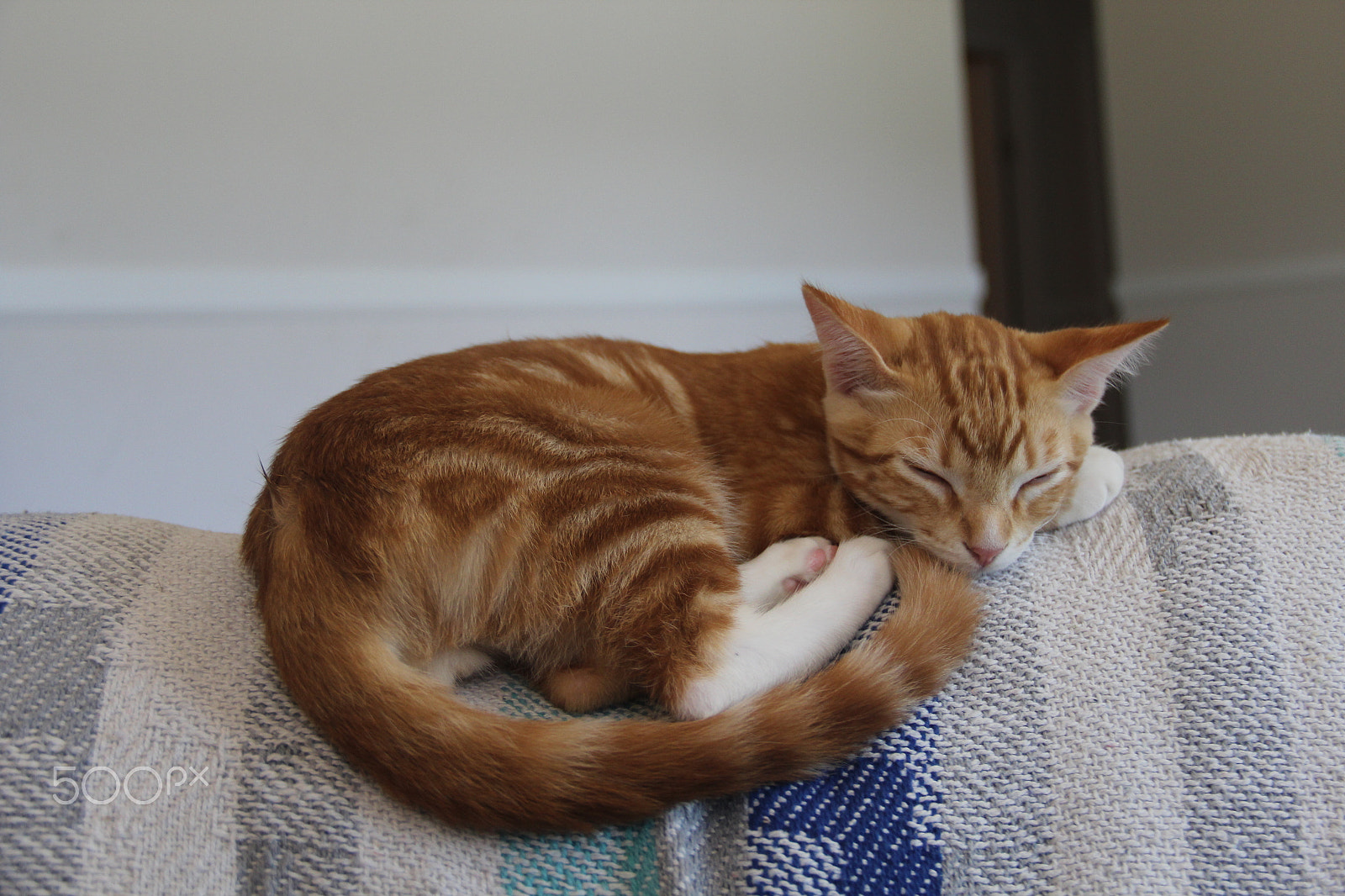 Canon EOS 1200D (EOS Rebel T5 / EOS Kiss X70 / EOS Hi) sample photo. Photo essay 2 photography