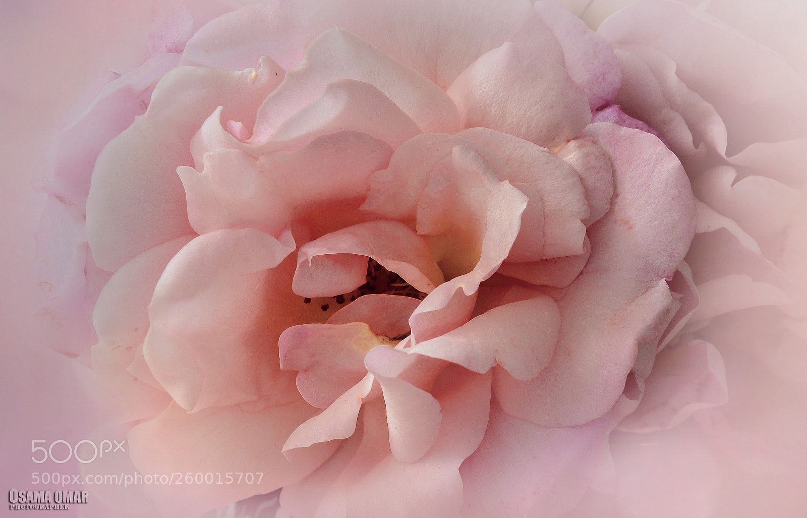 Nikon D7100 sample photo. ... photography
