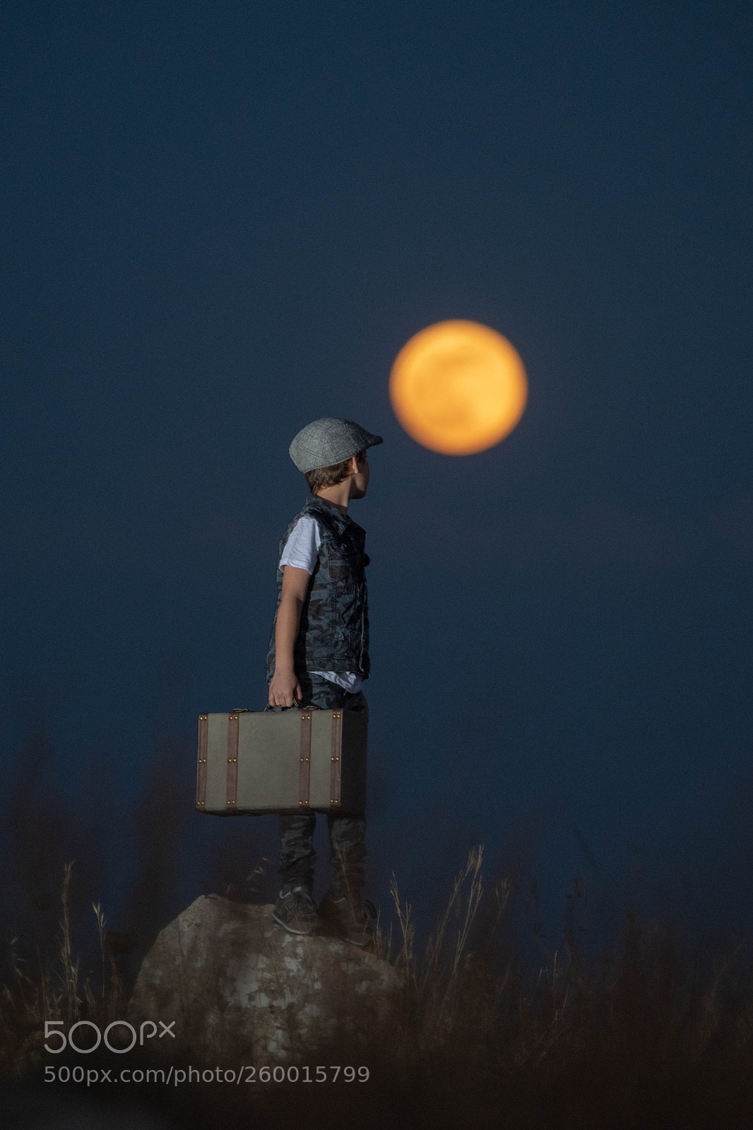 Nikon D850 sample photo. To the moon and photography