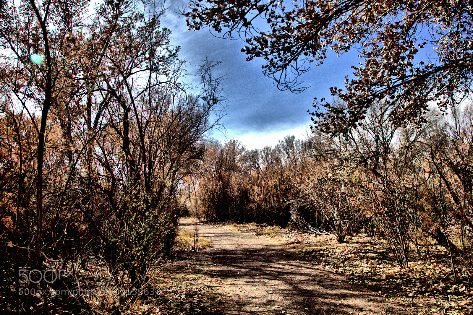 Canon EOS 5D Mark II sample photo. Bosquedel photography