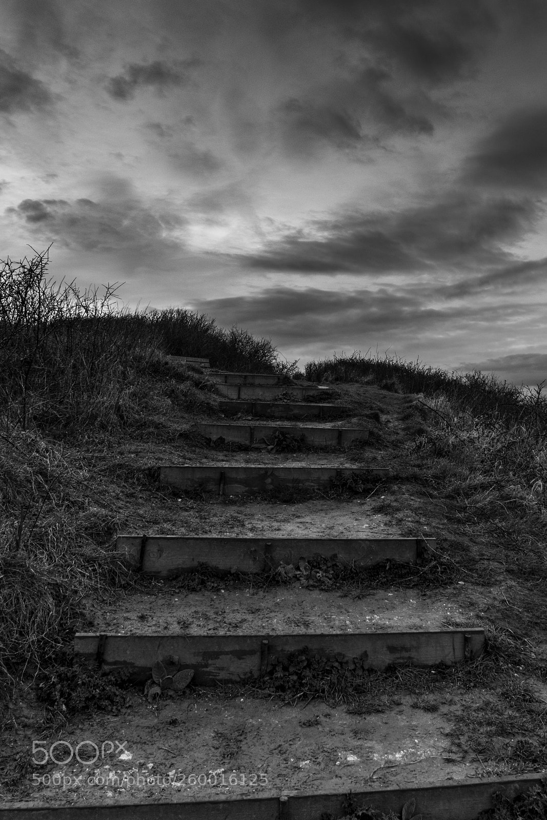 Nikon D5300 sample photo. Steps photography