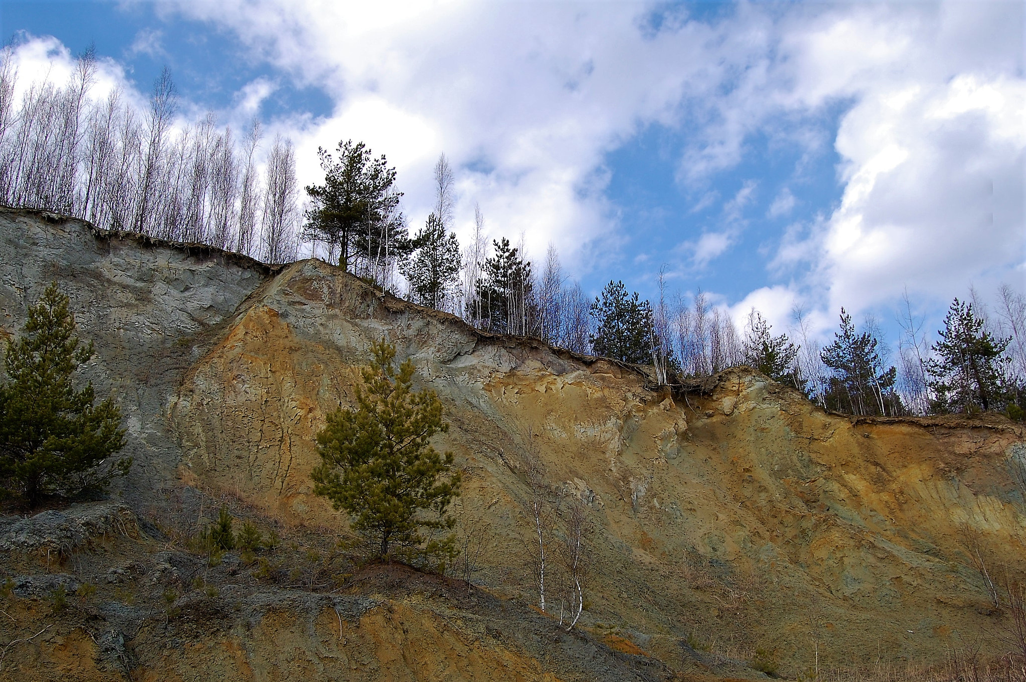 Nikon D40 sample photo. ...spring sky... photography