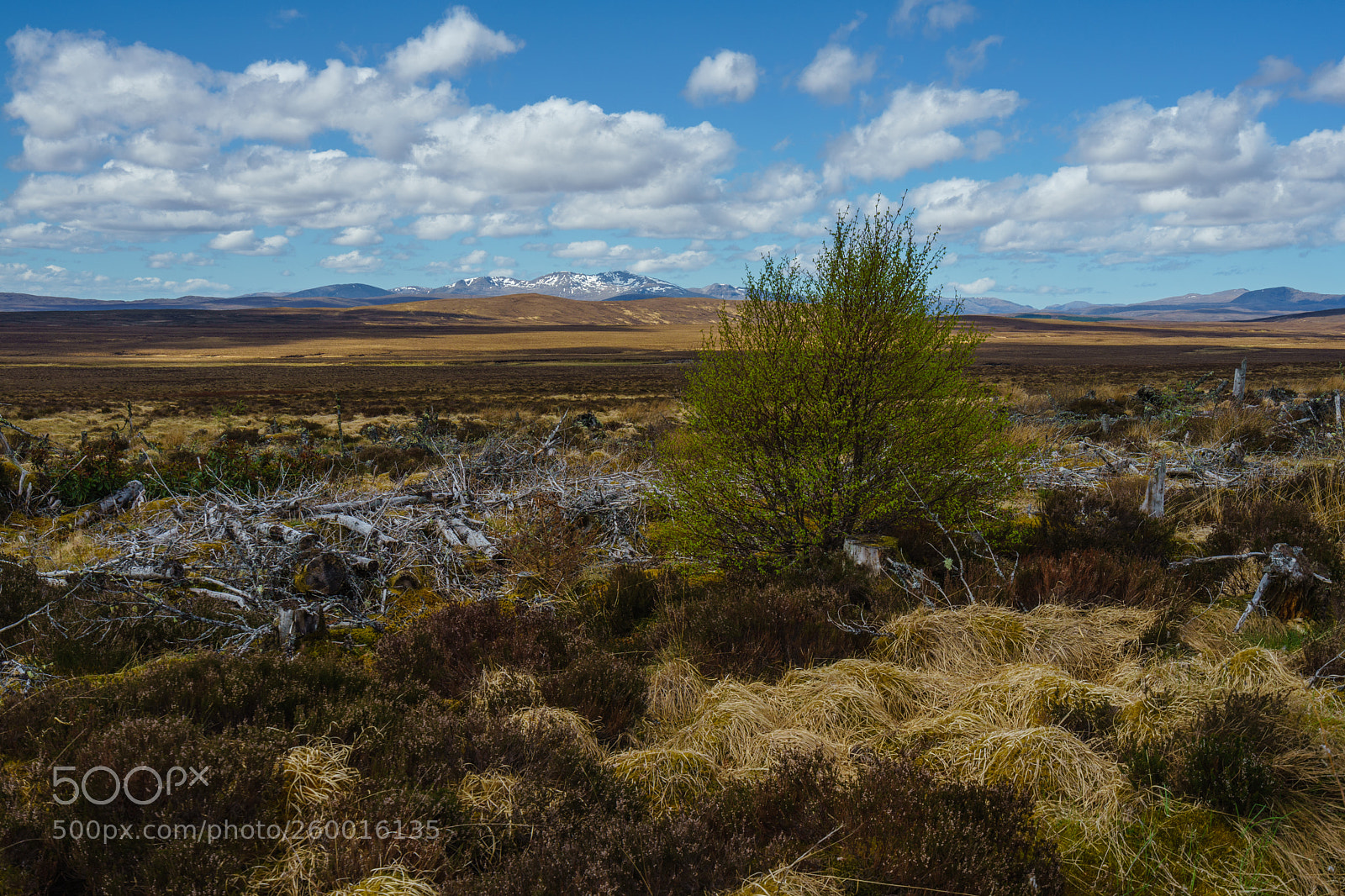 Sony a7 II sample photo. Highlands photography