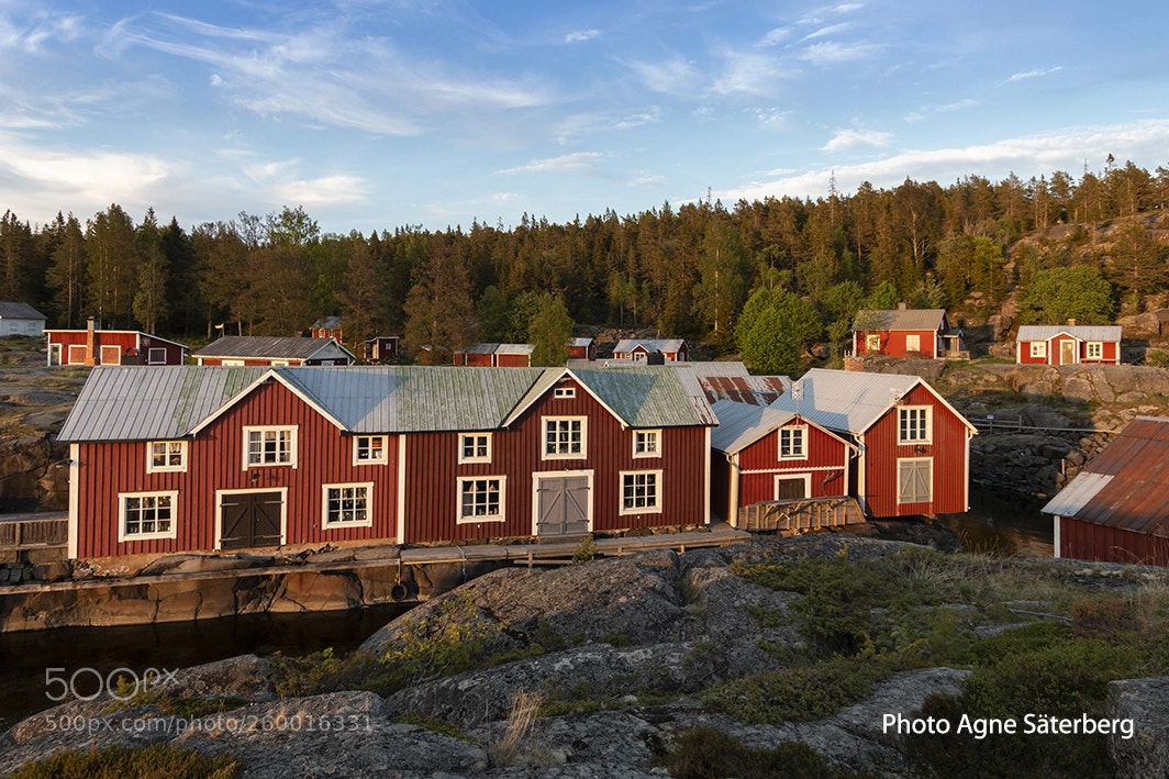 Canon EOS 70D sample photo. Spring in sweden! photography