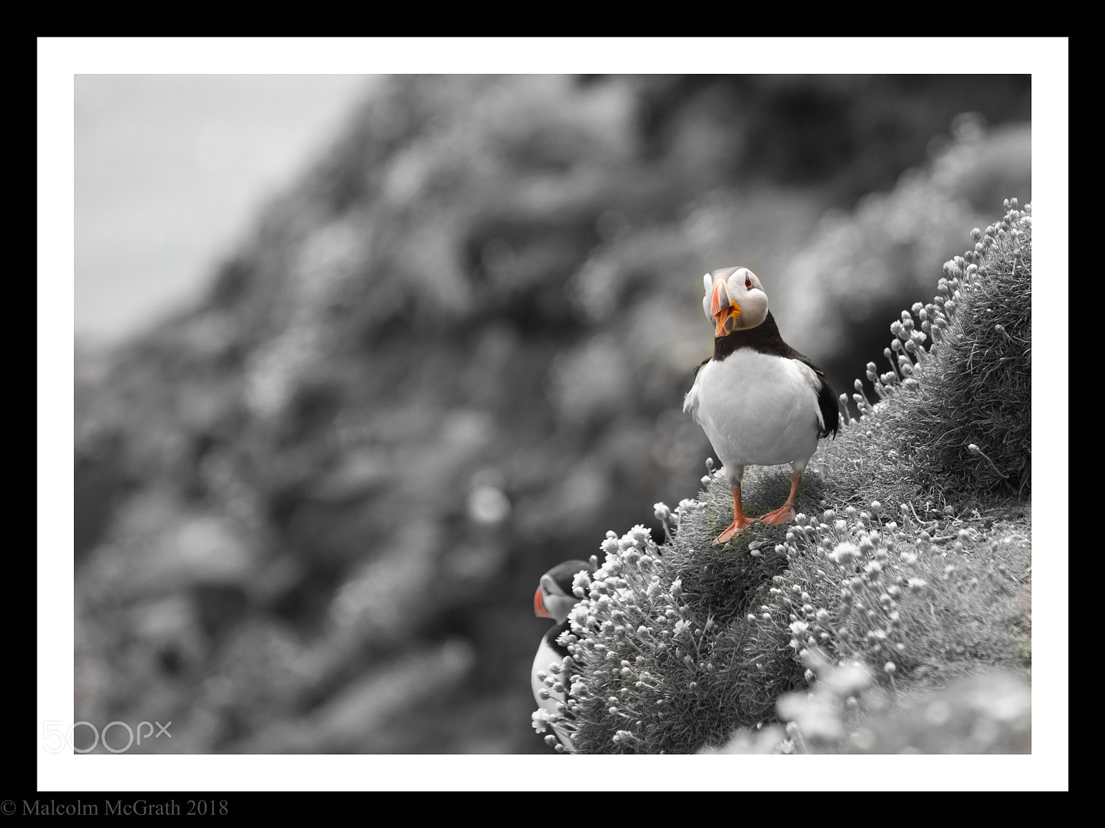 Canon EOS 6D sample photo. Colour pop photography