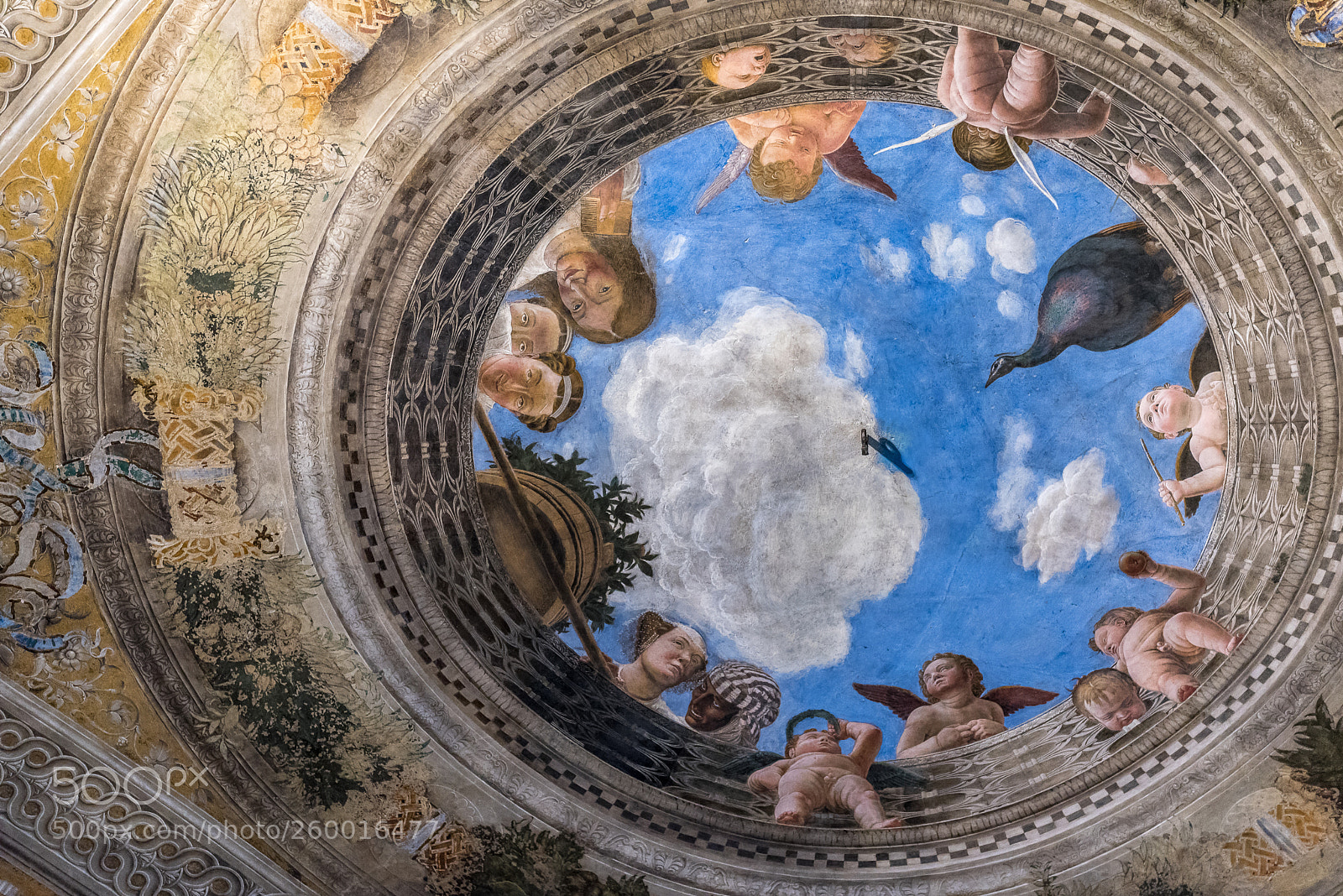 Nikon D750 sample photo. Mantova photography