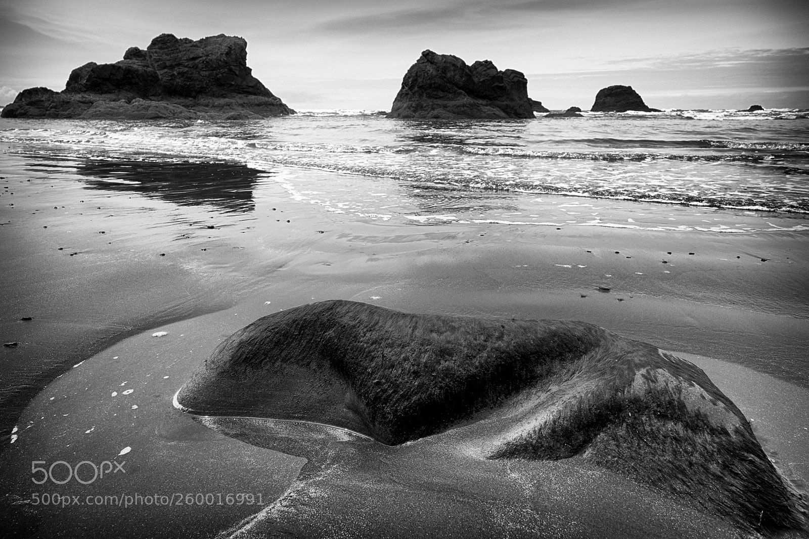 Fujifilm X-T2 sample photo. Ruby beach, washington photography