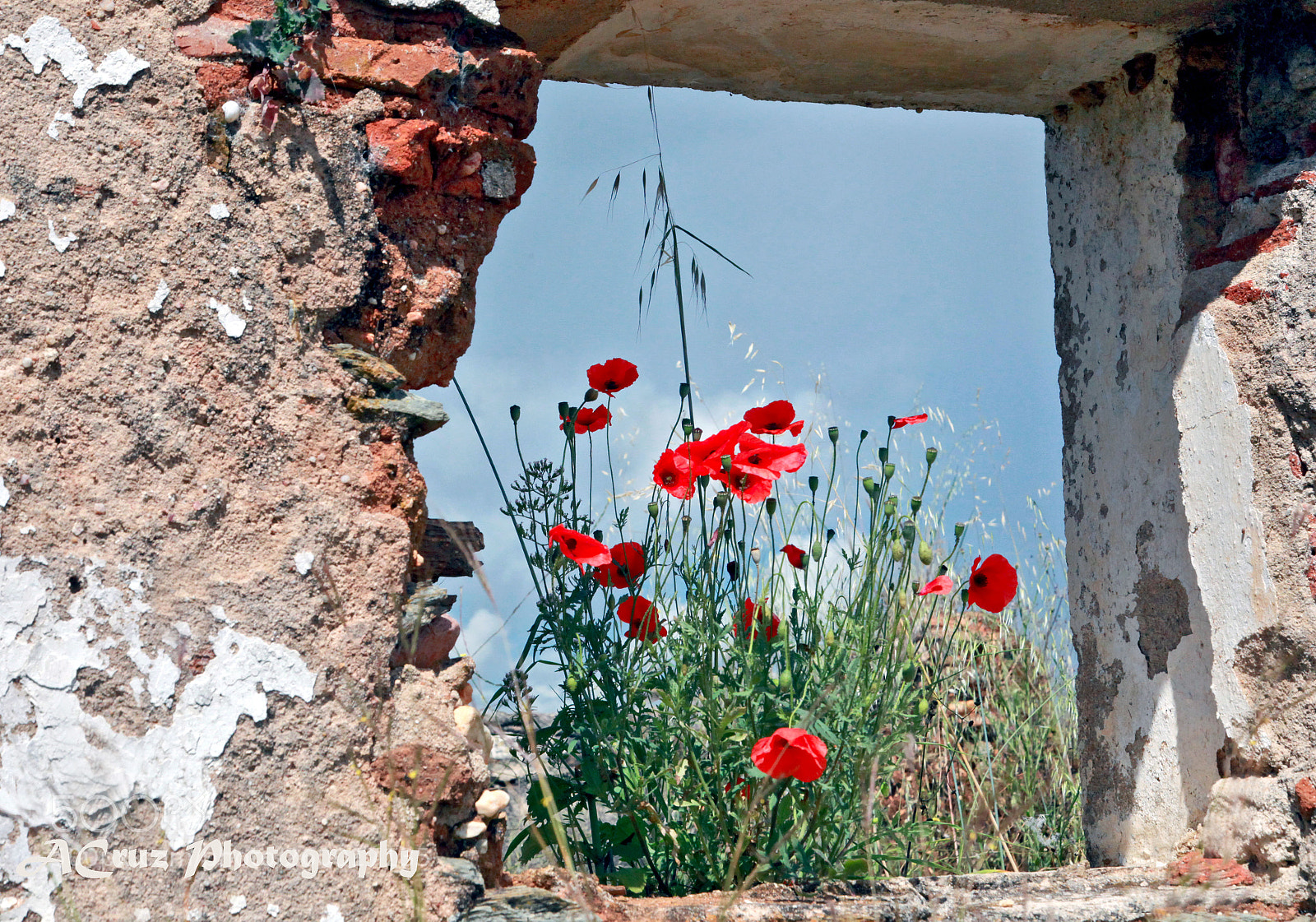 Canon EOS 5D Mark II sample photo. Colored window photography