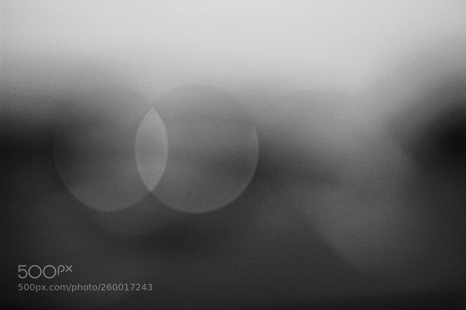 Canon EOS 60D sample photo. 50 shades of grey photography