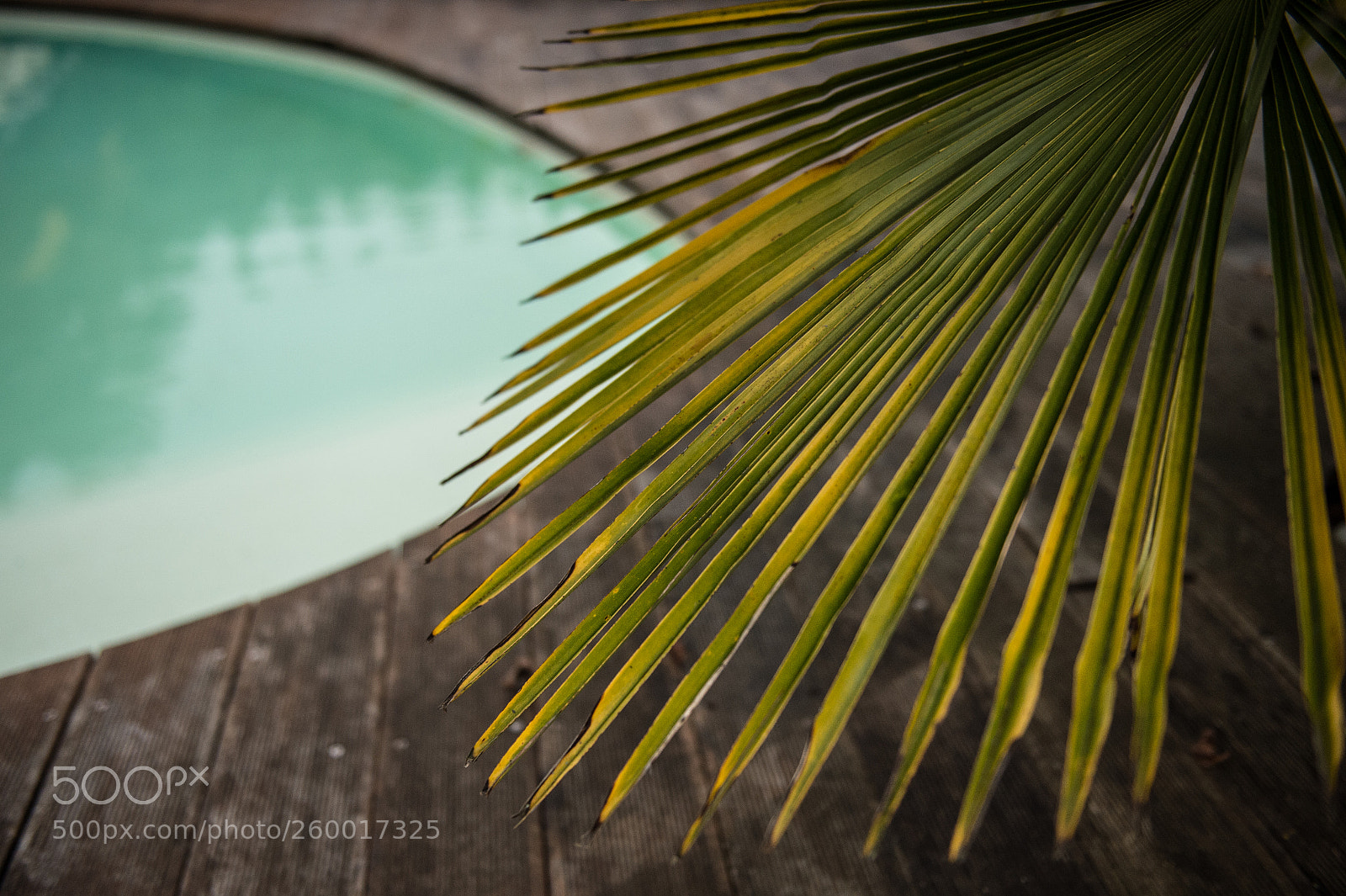 Nikon D4S sample photo. Need some holidays photography