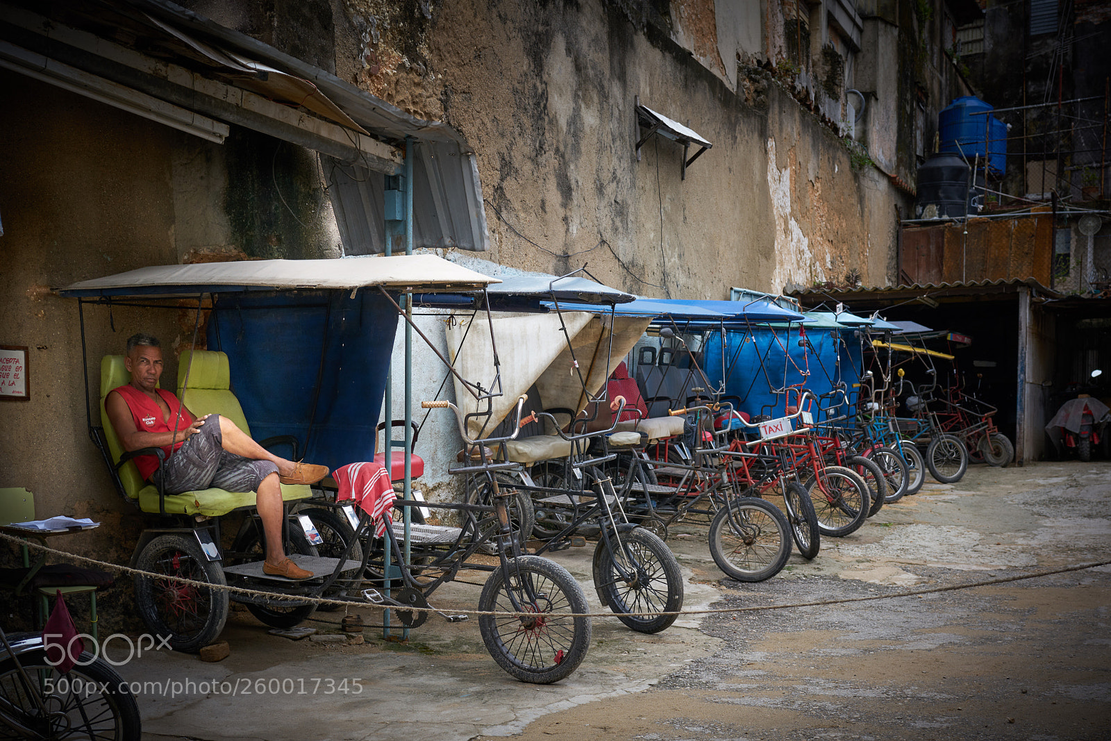 Sony a7R II sample photo. Resting photography