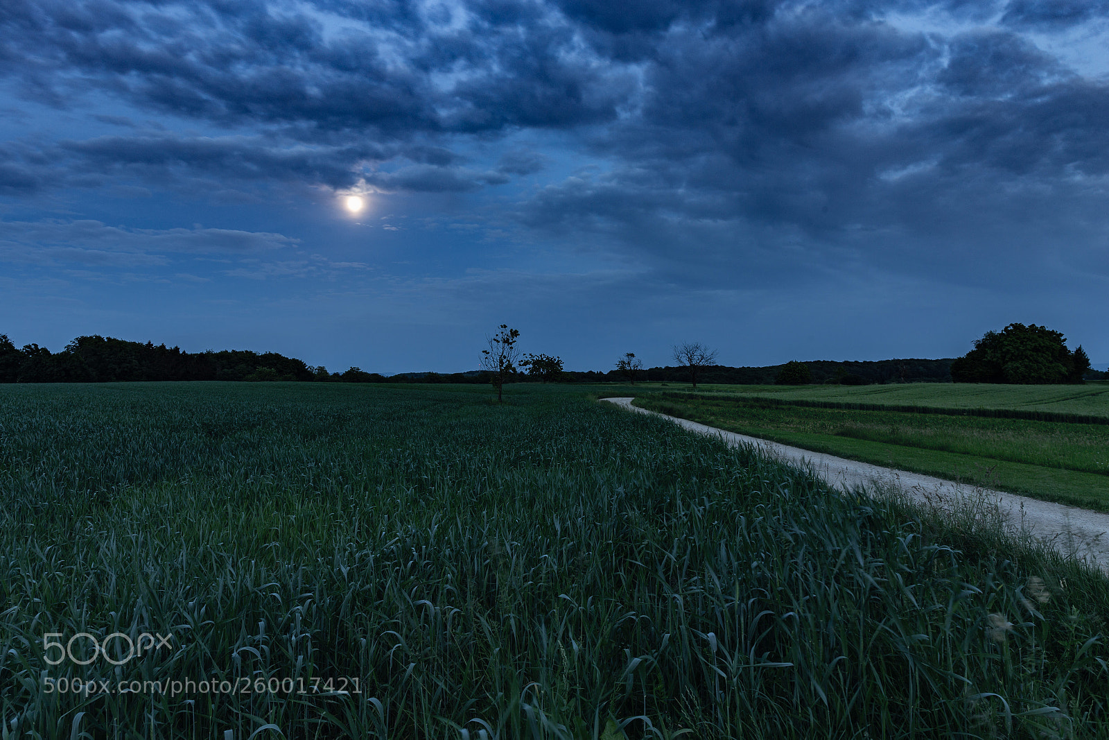 Canon EOS 6D sample photo. Full moon at blue photography