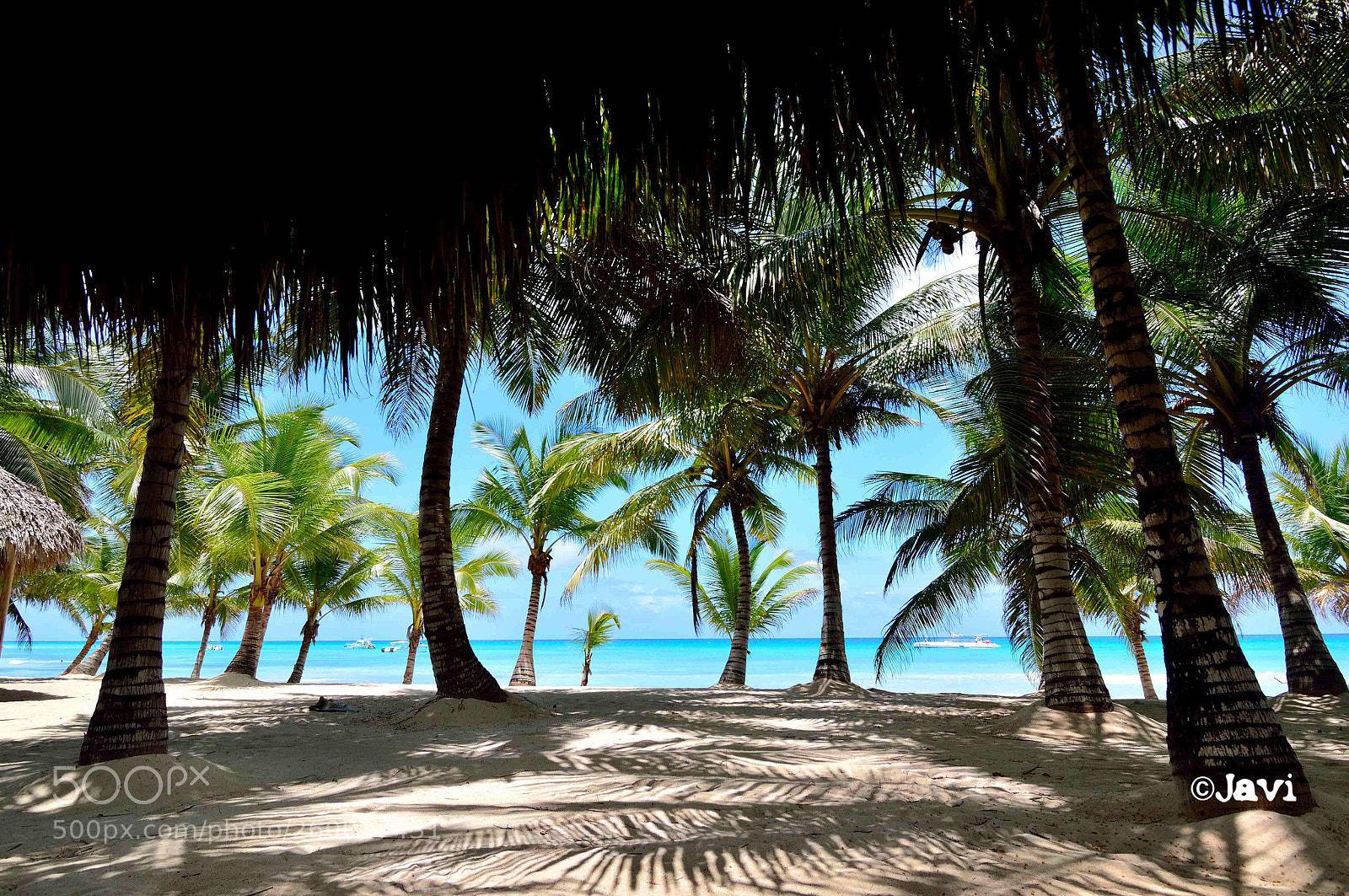 Nikon D3200 sample photo. Isla saona republica dominicana photography