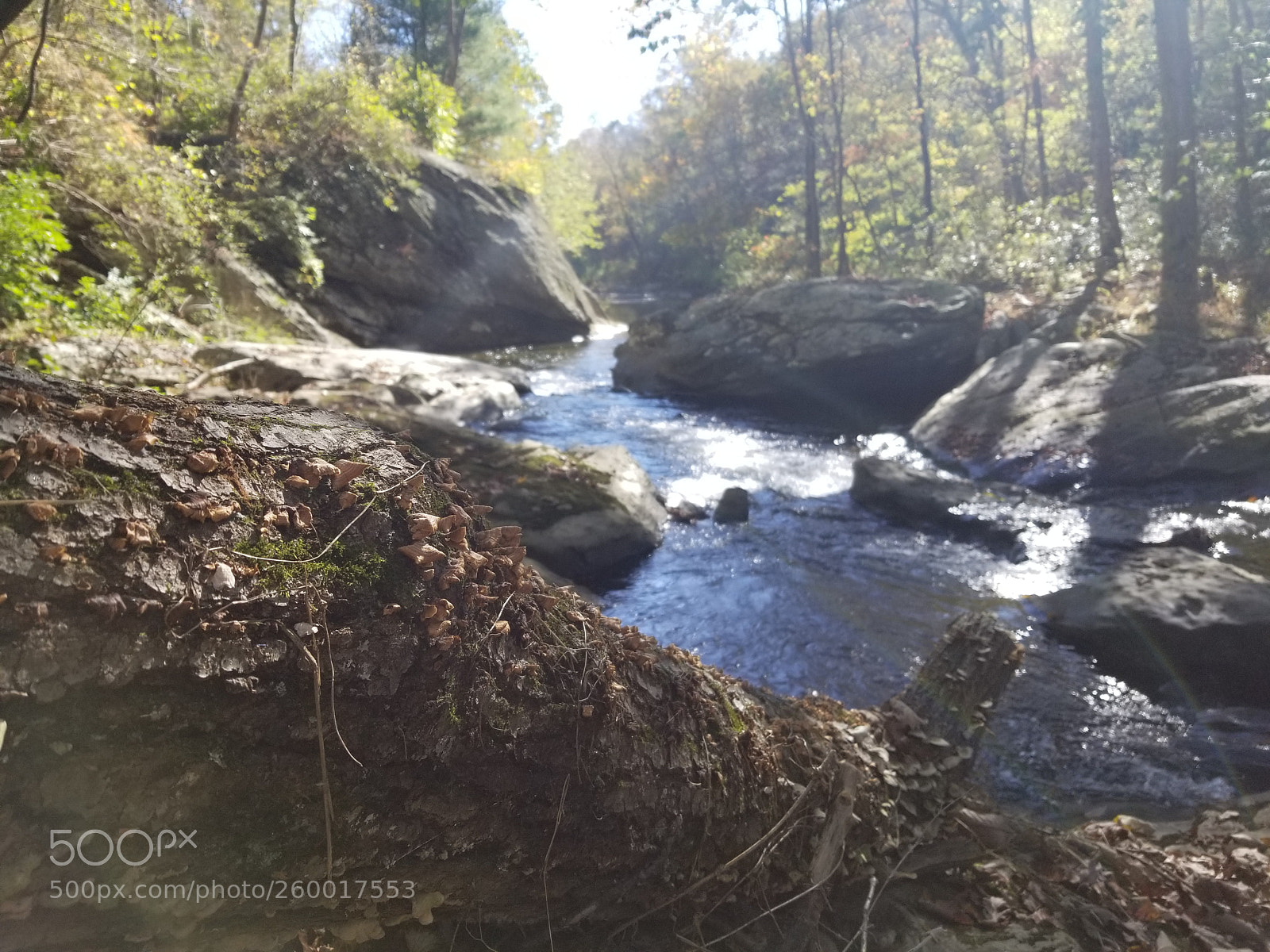 Samsung Galaxy S8 sample photo. Stream photography