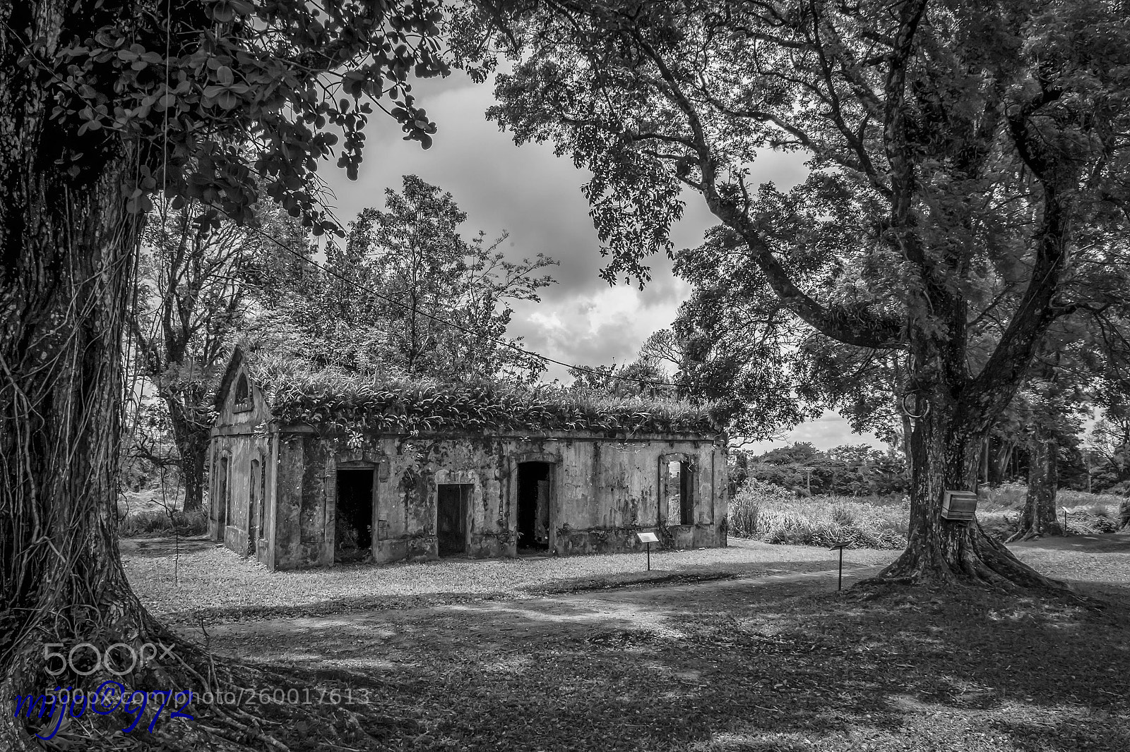 Canon EOS 50D sample photo. Camp balata! photography