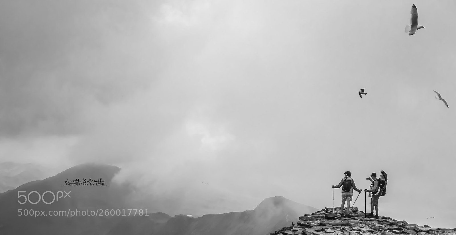 Nikon D750 sample photo. In clouds. photography