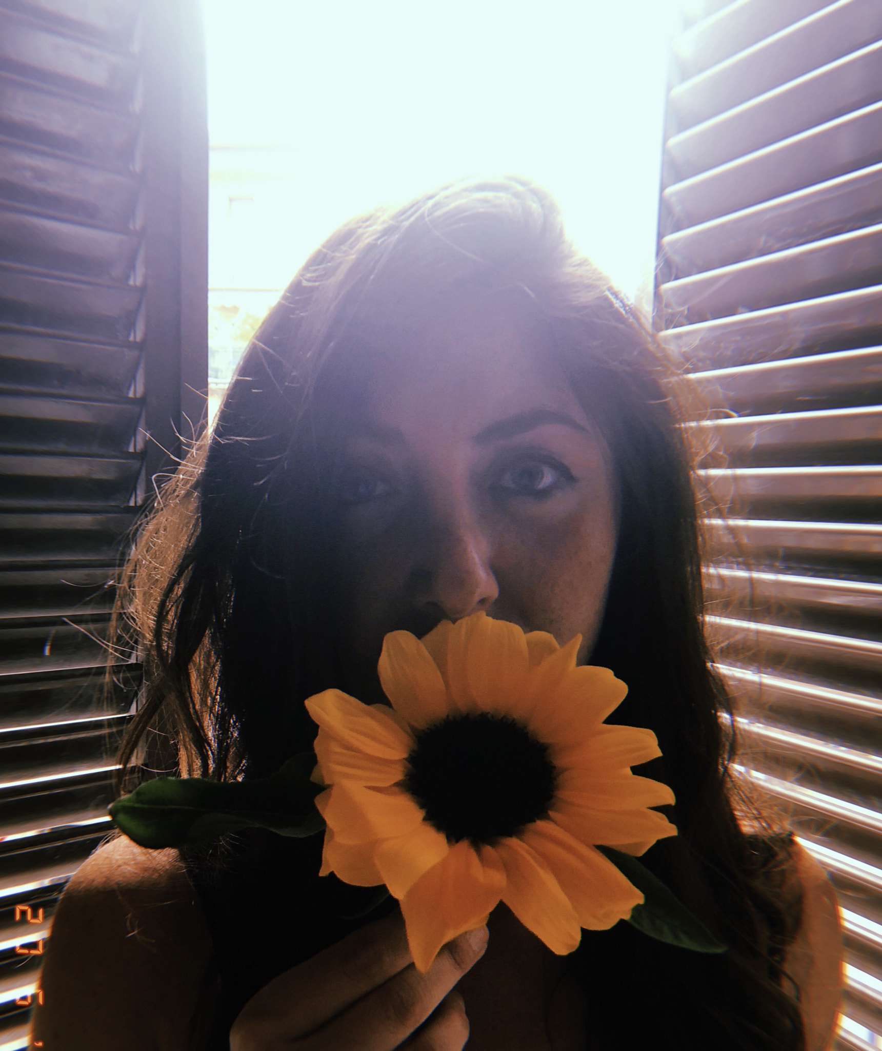 Apple iPhone sample photo. By venere  photography