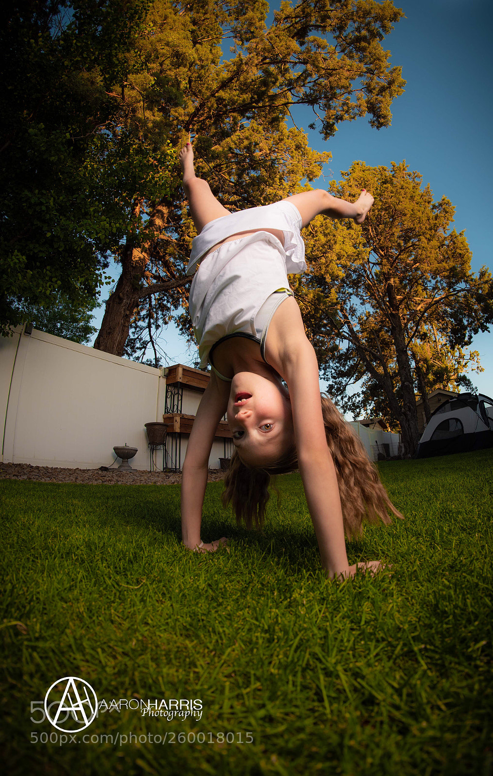 Nikon D750 sample photo. Low vantage point photography