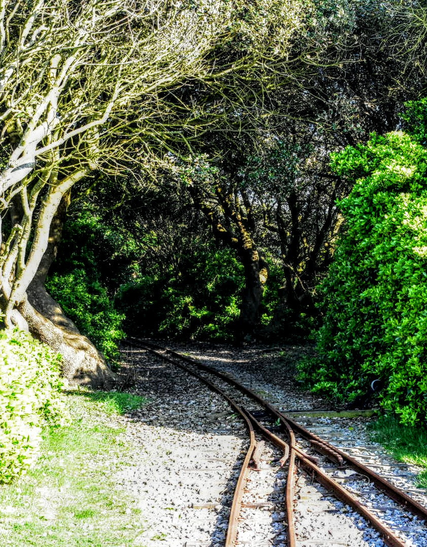 Nikon D3400 sample photo. Train track photography