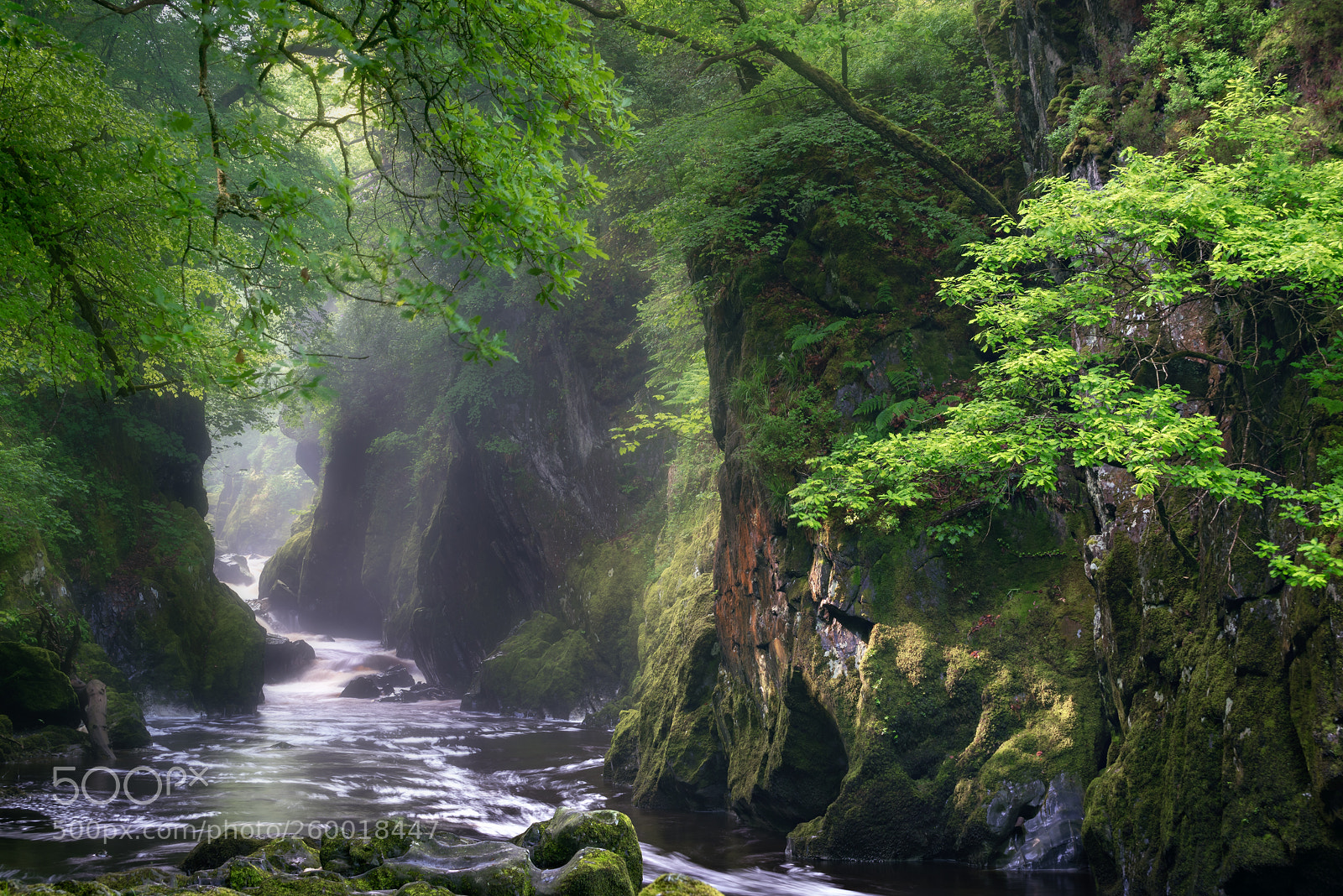 Nikon D750 sample photo. In search of faeries photography