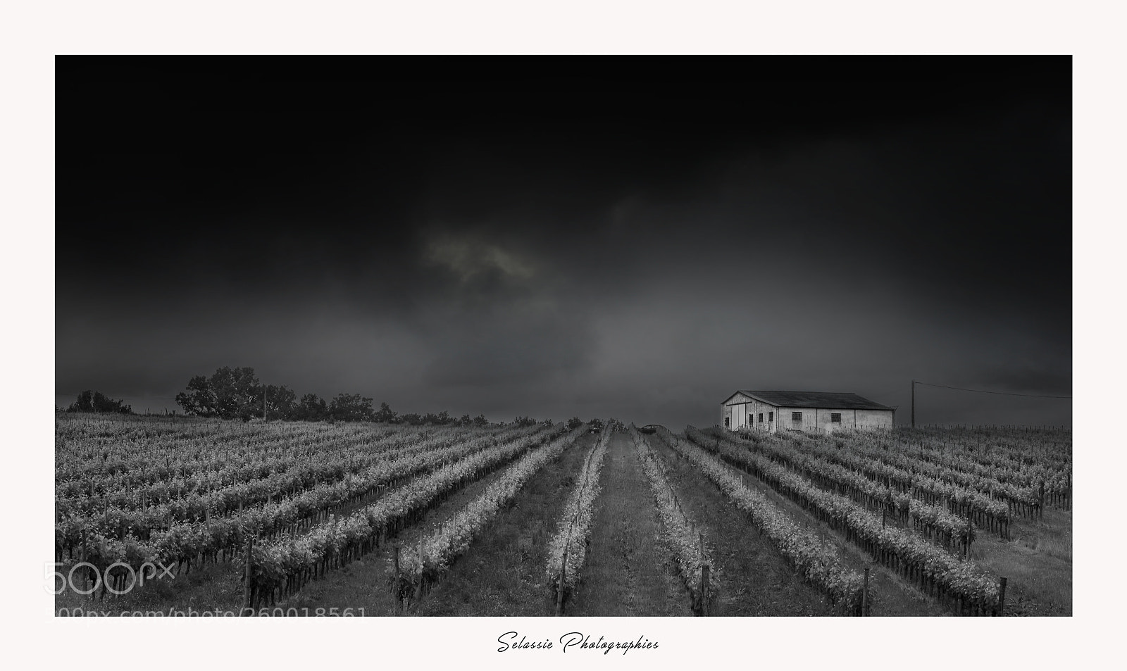 Nikon D800 sample photo. After the storm in photography