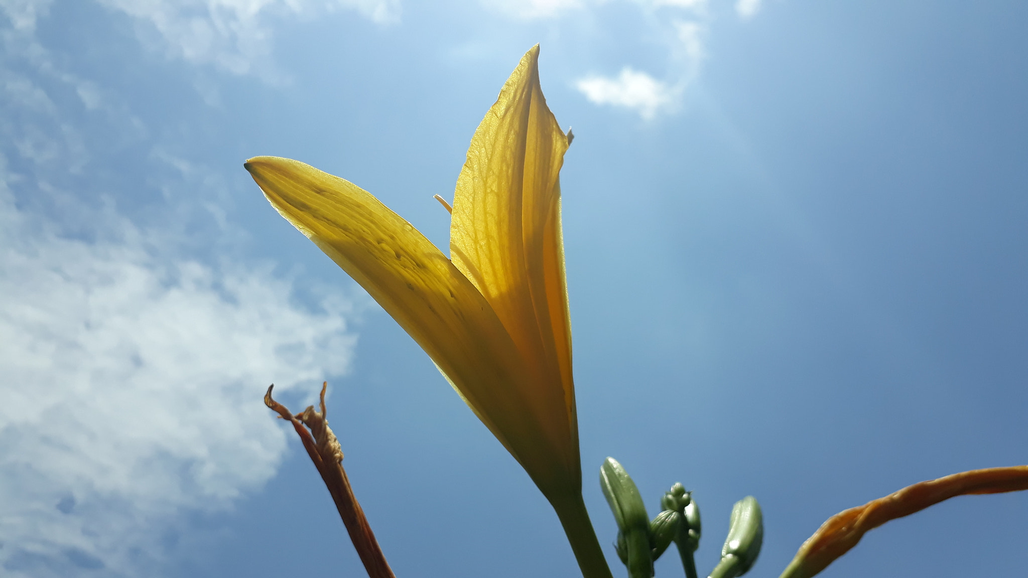 Samsung Galaxy J7 Prime sample photo